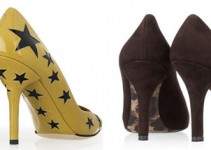 Paint for shoes