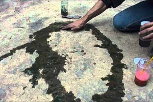 Pintura vegetal