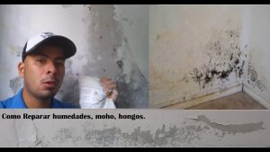 Cómo limpiar una pared con hongos para pintar