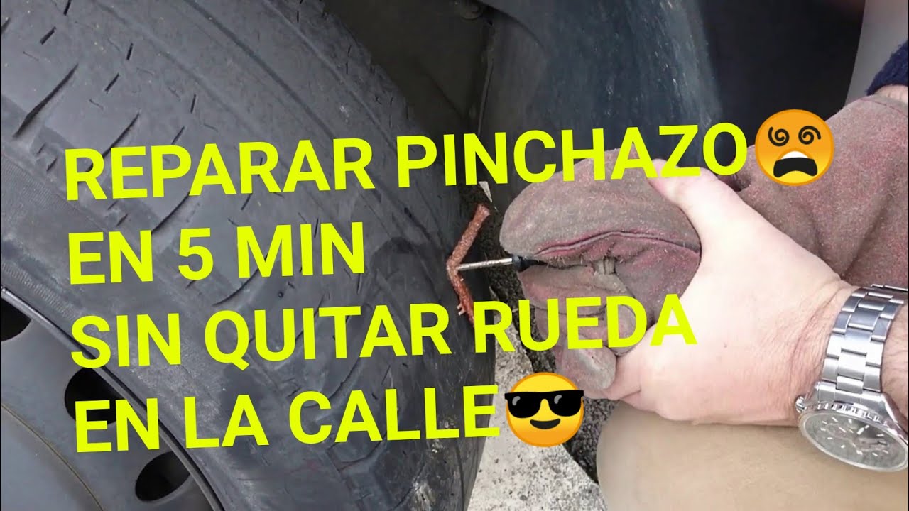 Cómo reparar una puerta mordida por un perro 【2023 】 ️ Bricolaje