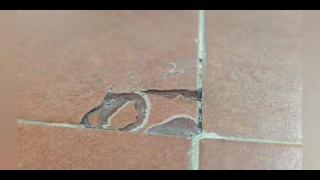 Cómo reparar una puerta mordida por un perro 【2024 】 ️ Bricolaje