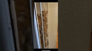 Cómo reparar una puerta de madera