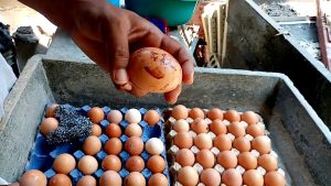 Cómo limpiar huevos de granja