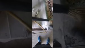 Cómo limpiar los flecos de las alfombras