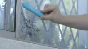 Cómo limpiar una tela mosquitera