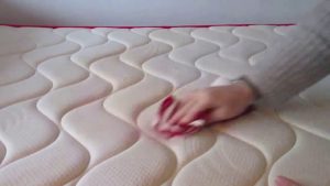Cómo limpiar un colchón de orina de perro